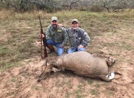 South Texas Nilgai Hunts