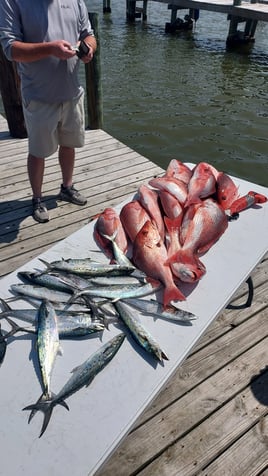 Laid Back Trolling and Bottom Fishing