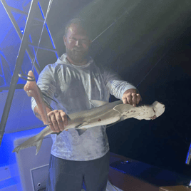 Offshore Shark Trips