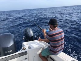 Offshore and inshore fishing in Puerto Rico