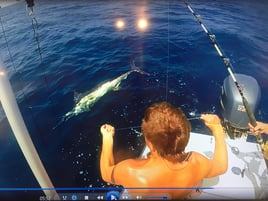 Offshore and inshore fishing in Puerto Rico