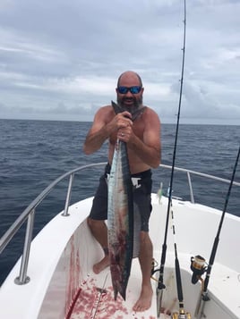 Offshore and inshore fishing in Puerto Rico