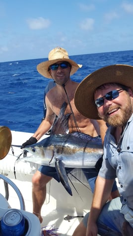 Blue Marlin Fishing in Rincon, Puerto Rico