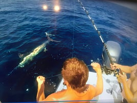 Blue Marlin Fishing in Rincon, Puerto Rico