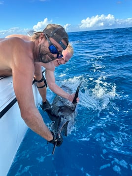 Blue Marlin Fishing in Rincon, Puerto Rico