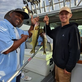 Lake Erie Walleye Drift