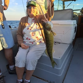 Lake Erie Walleye Drift