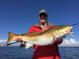 Redfish Fishing in Pensacola, Florida