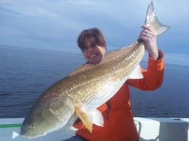 Redfish Fishing in Pensacola, Florida