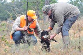 Pheasant Hunts