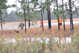 Pheasant Hunts