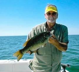 Lake Erie Smallies, Walleye, and Perch