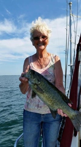 Lake Erie Smallies, Walleye, and Perch