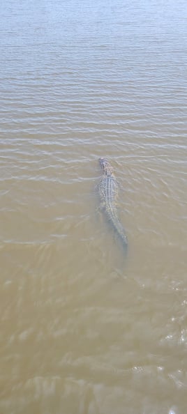 Backwater Reds and Flatfish