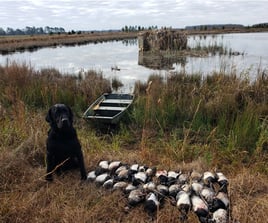 Bay and Gulf Hunts