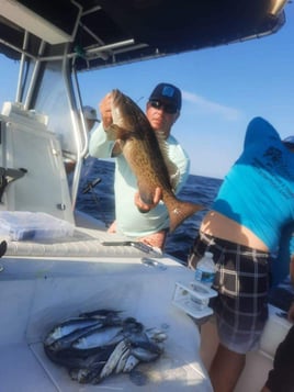 Offshore Grouper Fishing 🎣