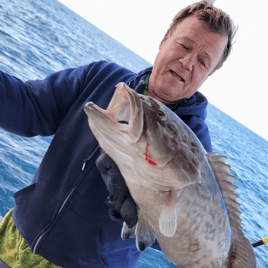 Offshore Grouper Fishing 🎣