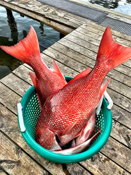 Offshore/Nearshore Fishing on the East Coast of FL