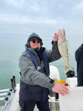 Lake Erie Walleye Whacker Trip