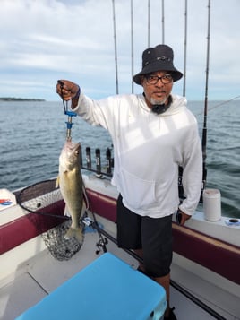 Lake Erie Walleye Whacker Trip