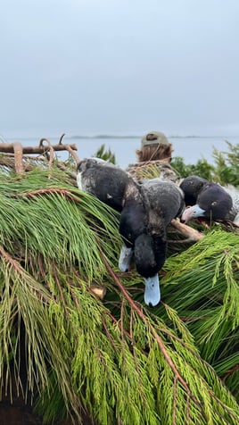 Open water duck hunts