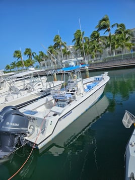 Offshore mahi/tuna/wahoo