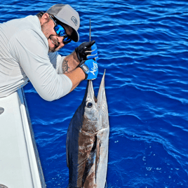 Offshore mahi/tuna/wahoo