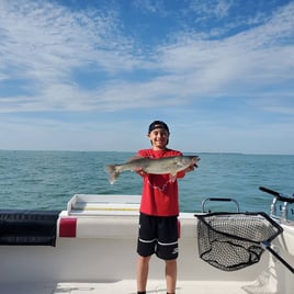 Lake Erie Walleye Hunt