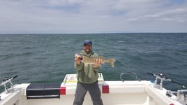 Lake Erie Walleye Hunt