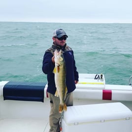 Lake Erie Walleye Hunt