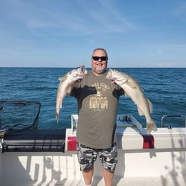 Lake Erie Walleye Hunt