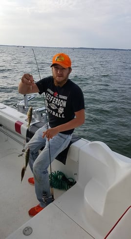 Lake Erie Combo Trip