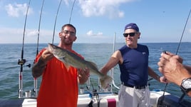 Lake Erie Walleye Hunt