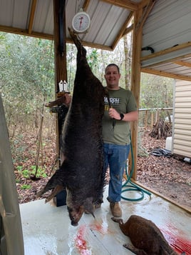 101 - 150 lbs Hog!