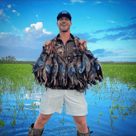 Blue-Winged Teal Hunting in Boothville-Venice, Louisiana