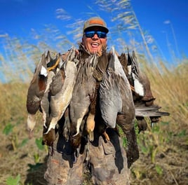 Northern Pintail Hunting in Boothville-Venice, Louisiana