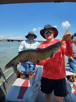 Lake Erie Catfish Special