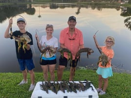 Iguana Hunting in Fort Lauderdale, Florida