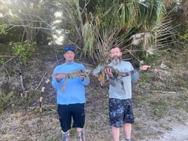 Iguana Hunting Insanity