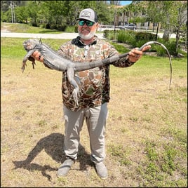 West Palm Beach Iguana Hunt