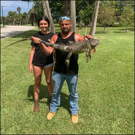 West Palm Beach Iguana Hunt