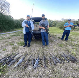 West Palm Beach Iguana Hunt