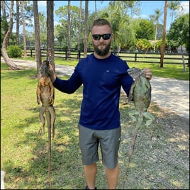 West Palm Beach Iguana Hunt