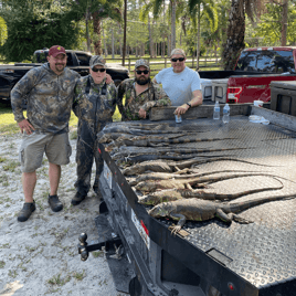 West Palm Beach Iguana Hunt