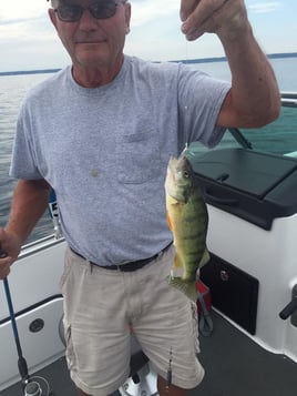 Perch Fishing in Ashtabula, Ohio