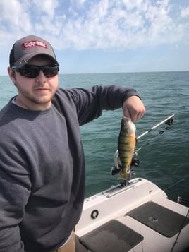 Perch Fishing in Ashtabula, Ohio