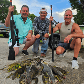 Iguana Hunting