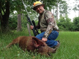 Meat Hog Hunts