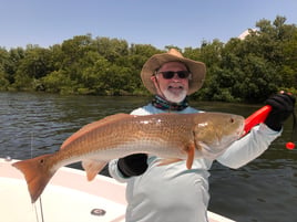 St Petersburg inshore Fishing!!!