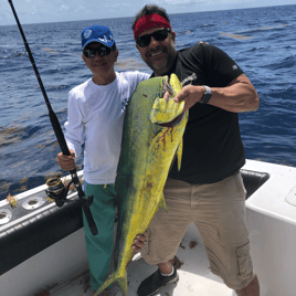 Mahi Mahi Fishing in Miami, Florida